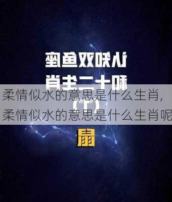 柔情似水的意思是什么生肖,柔情似水的意思是什么生肖呢