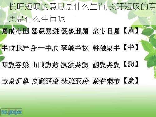 长吁短叹的意思是什么生肖,长吁短叹的意思是什么生肖呢