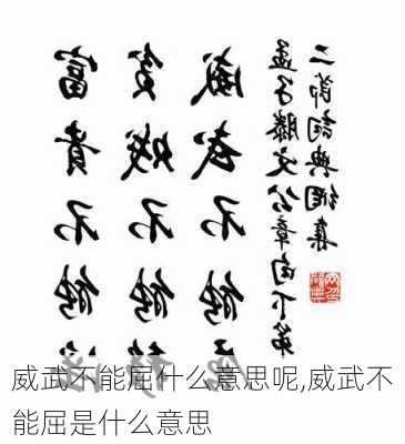 威武不能屈什么意思呢,威武不能屈是什么意思