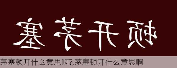 茅塞顿开什么意思啊?,茅塞顿开什么意思啊