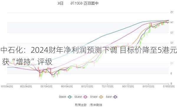 中石化：2024财年净利润预测下调 目标价降至5港元 获“增持”评级