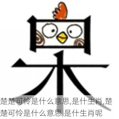 楚楚可怜是什么意思,是什生肖,楚楚可怜是什么意思,是什生肖呢