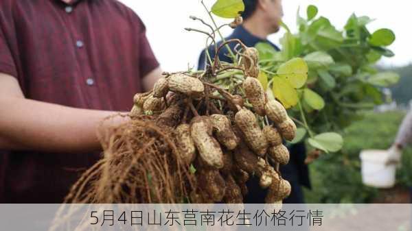 5月4日山东莒南花生价格行情