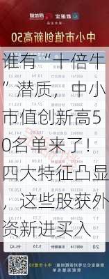 谁有“十倍牛”潜质，中小市值创新高50名单来了！四大特征凸显，这些股获外资新进买入