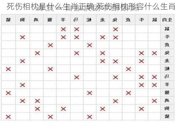 死伤相枕是什么生肖正确,死伤相枕形容什么生肖