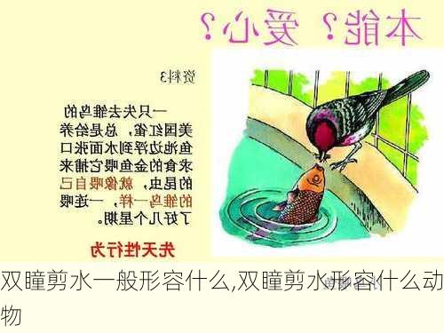 双瞳剪水一般形容什么,双瞳剪水形容什么动物