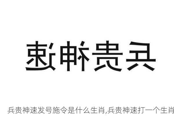 兵贵神速发号施令是什么生肖,兵贵神速打一个生肖