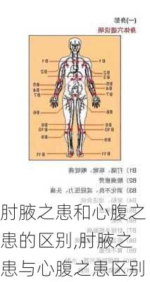 肘腋之患和心腹之患的区别,肘腋之患与心腹之患区别