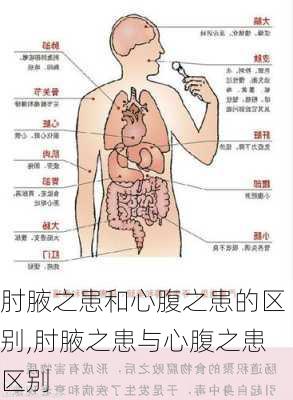 肘腋之患和心腹之患的区别,肘腋之患与心腹之患区别