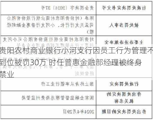 贵阳农村商业银行小河支行因员工行为管理不到位被罚30万 时任普惠金融部经理被终身禁业