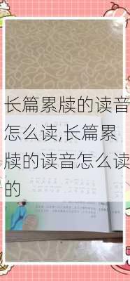 长篇累牍的读音怎么读,长篇累牍的读音怎么读的