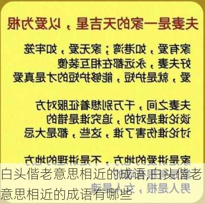 白头偕老意思相近的成语,白头偕老意思相近的成语有哪些