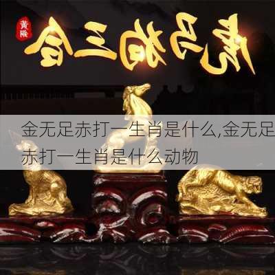 金无足赤打一生肖是什么,金无足赤打一生肖是什么动物