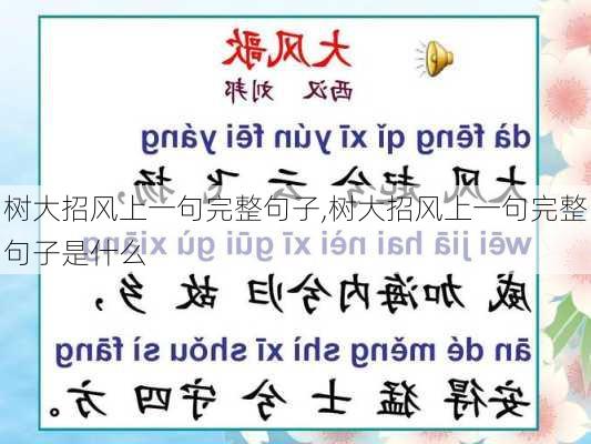 树大招风上一句完整句子,树大招风上一句完整句子是什么