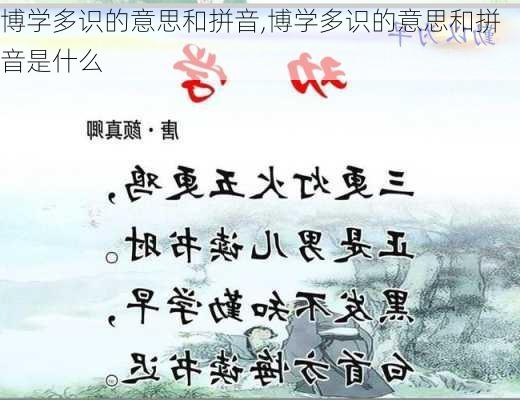 博学多识的意思和拼音,博学多识的意思和拼音是什么