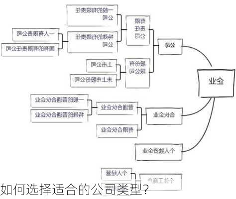 如何选择适合的公司类型？