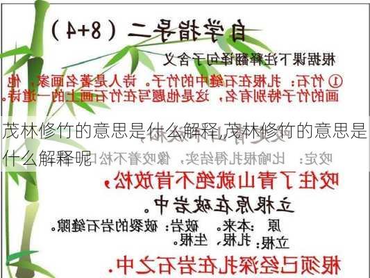 茂林修竹的意思是什么解释,茂林修竹的意思是什么解释呢