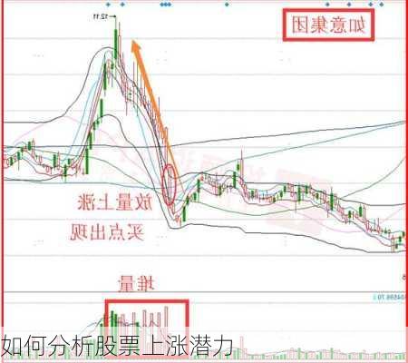 如何分析股票上涨潜力