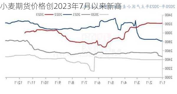 小麦期货价格创2023年7月以来新高