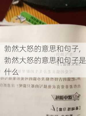 勃然大怒的意思和句子,勃然大怒的意思和句子是什么