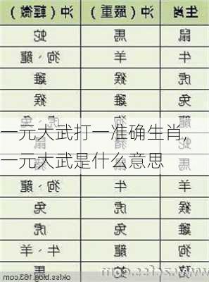 一元大武打一准确生肖,一元大武是什么意思