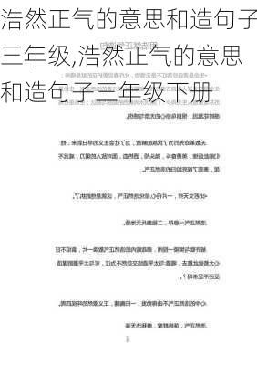 浩然正气的意思和造句子三年级,浩然正气的意思和造句子三年级下册