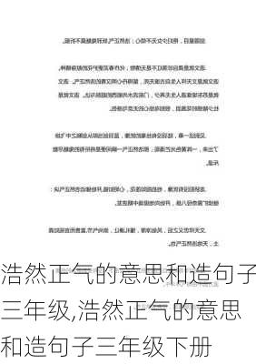 浩然正气的意思和造句子三年级,浩然正气的意思和造句子三年级下册