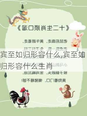 宾至如归形容什么,宾至如归形容什么生肖