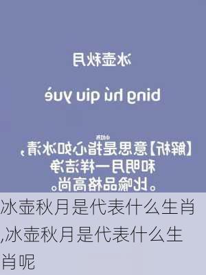 冰壶秋月是代表什么生肖,冰壶秋月是代表什么生肖呢