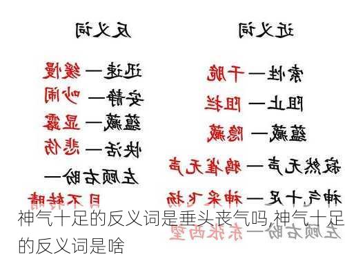 神气十足的反义词是垂头丧气吗,神气十足的反义词是啥