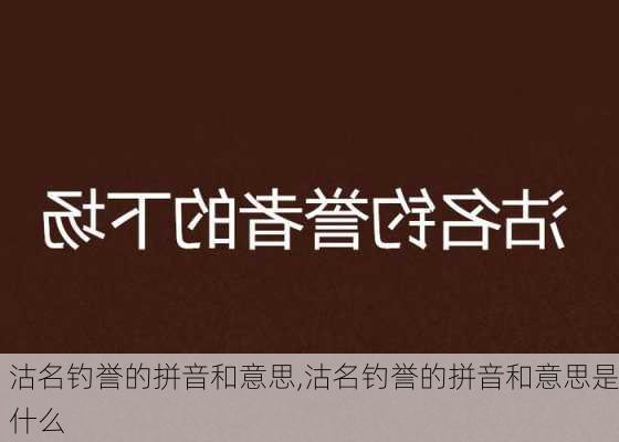 沽名钓誉的拼音和意思,沽名钓誉的拼音和意思是什么