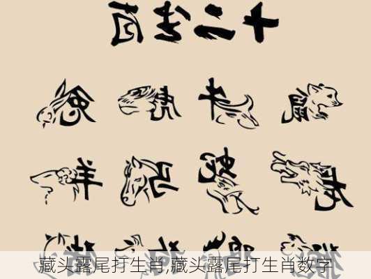 藏头露尾打生肖,藏头露尾打生肖数字