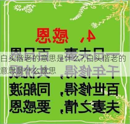 白头偕老的意思是什么?,白头偕老的意思是什么意思