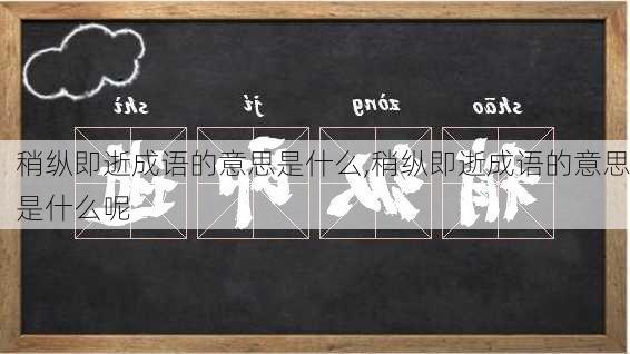 稍纵即逝成语的意思是什么,稍纵即逝成语的意思是什么呢