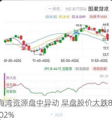 海湾资源盘中异动 早盘股价大跌8.02%