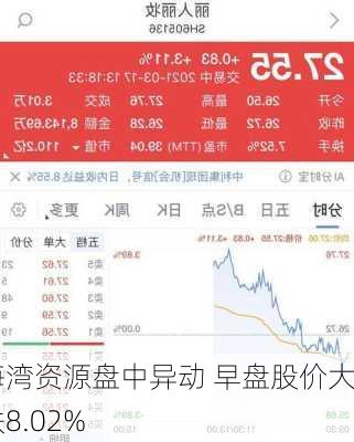 海湾资源盘中异动 早盘股价大跌8.02%