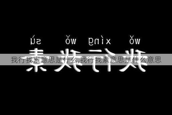 我行我素意思是什么,我行我素意思是什么意思