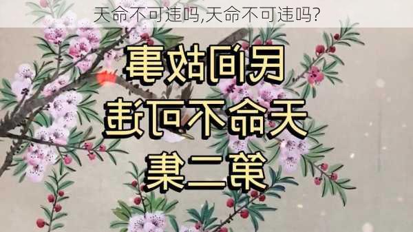 天命不可违吗,天命不可违吗?