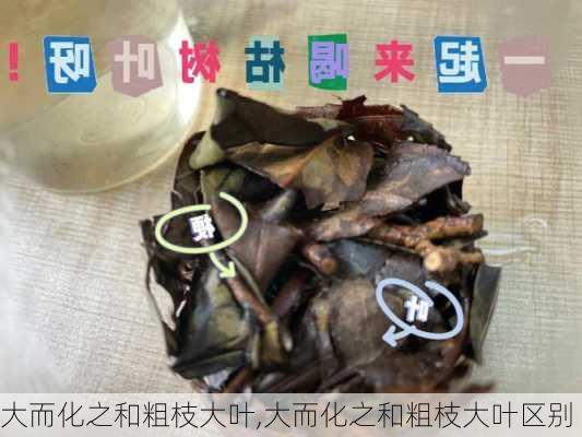 大而化之和粗枝大叶,大而化之和粗枝大叶区别