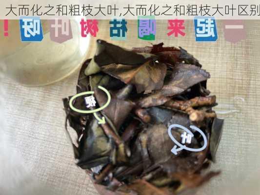 大而化之和粗枝大叶,大而化之和粗枝大叶区别