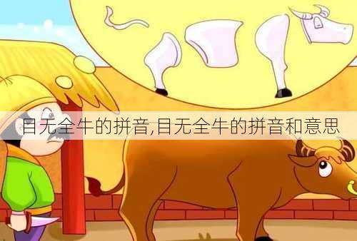 目无全牛的拼音,目无全牛的拼音和意思