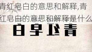 青红皂白的意思和解释,青红皂白的意思和解释是什么