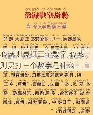 心诚则灵打三个数字,心诚则灵打三个数字是什么