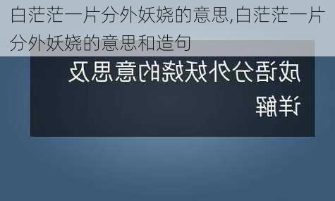 白茫茫一片分外妖娆的意思,白茫茫一片分外妖娆的意思和造句