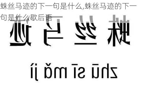 蛛丝马迹的下一句是什么,蛛丝马迹的下一句是什么歇后语