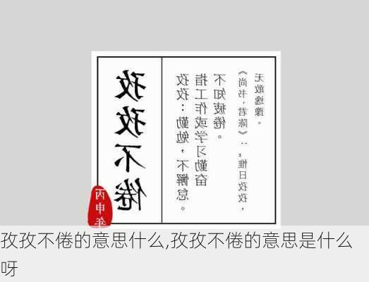 孜孜不倦的意思什么,孜孜不倦的意思是什么呀