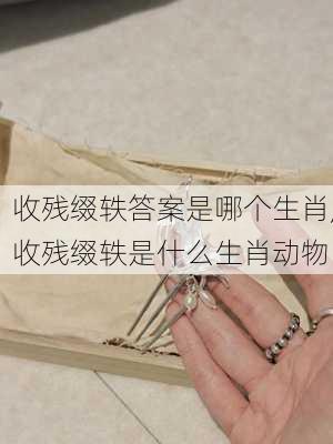 收残缀轶答案是哪个生肖,收残缀轶是什么生肖动物