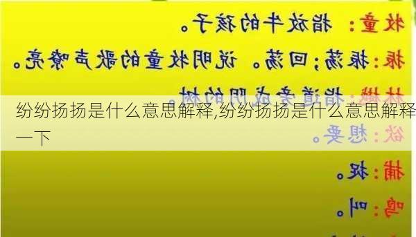 纷纷扬扬是什么意思解释,纷纷扬扬是什么意思解释一下