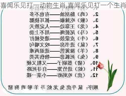 喜闻乐见打一动物生肖,喜闻乐见打一个生肖