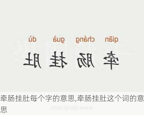 牵肠挂肚每个字的意思,牵肠挂肚这个词的意思